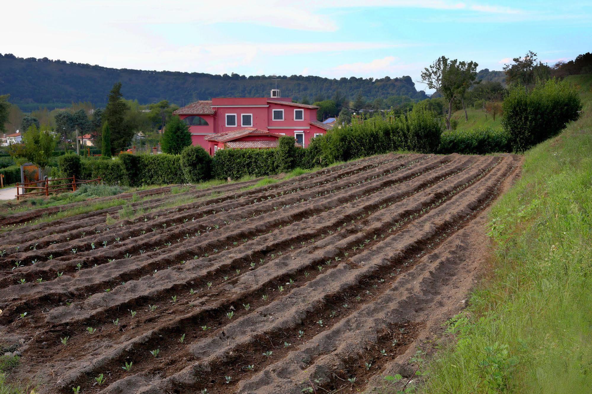Agriturismo San Martino يوتْسْوولْ المظهر الخارجي الصورة