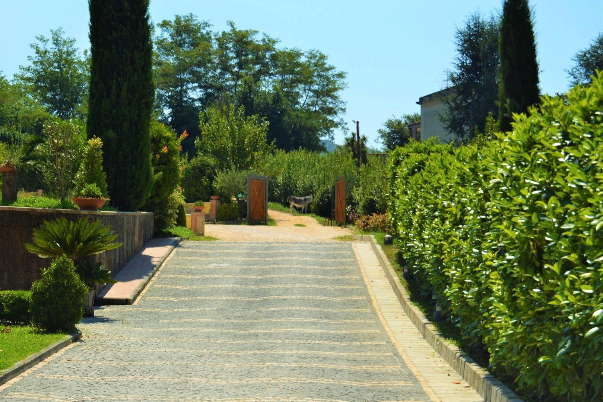 Agriturismo San Martino يوتْسْوولْ المظهر الخارجي الصورة